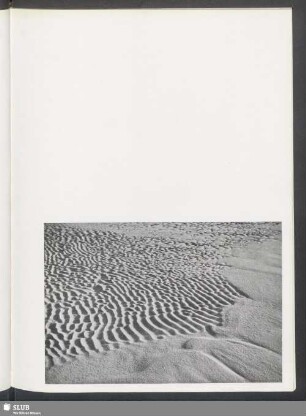 Strand bei Ebbe