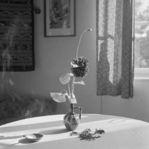 Vase mit Mohnblume und Dahlie im Teupitzer Wochenendhaus.