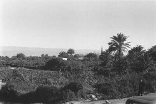 Landschaft : Landschaft und Vegetation.