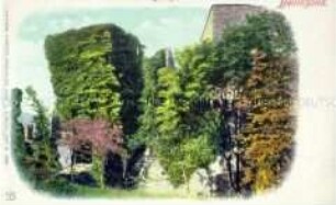 Ansicht der Burg in Bellinzona