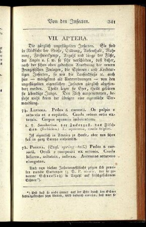 VII. Aptera
