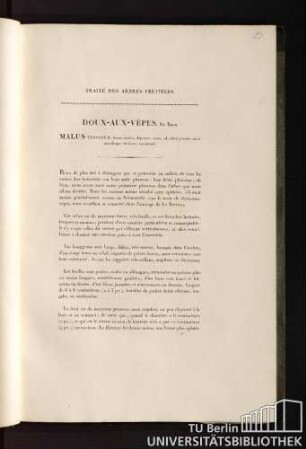 11. Doux-Aux-Vêpes. Le Berr. Malus vesparum, fructu medio, depresso, aureo, ad solem punctis rubris maculisque distincto, autumnali.