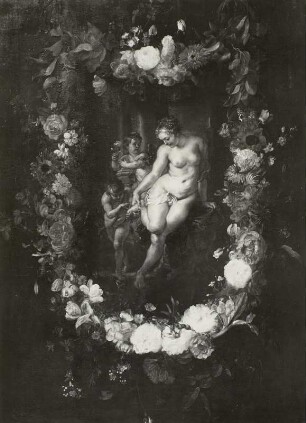 Geburt der roten Rose