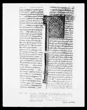 Biblia Latina: Fol. 150 v: Initiale P