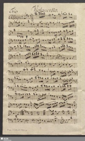 Violoncello