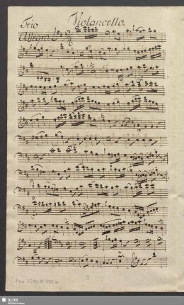 Violoncello
