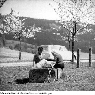 Sebnitz (mit Königs)