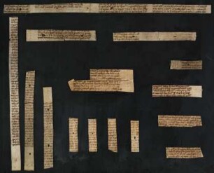 Medizinischer Text (?) : Hdschr. 172,3b
