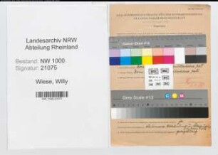 Entnazifizierung Willy Wiese, geb. 30.11.1904 (Kaufm.Angest.)
