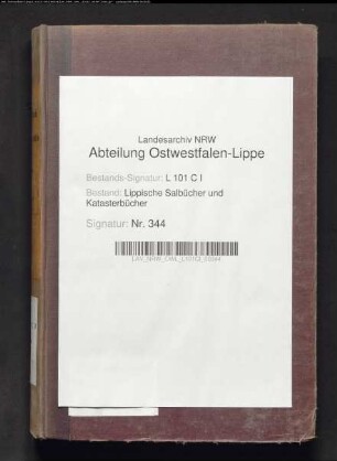 Salbuch der Stadt Lemgo von 1861, Bd. 1 (Duplikat)
