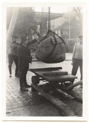 Verpflanzen großer Bäume: Baumtransport