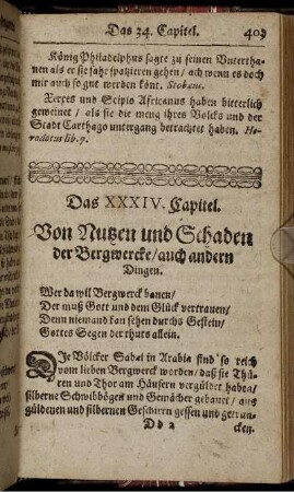 Das XXXIV. Capitel. Von Nutzen und Schaden der Bergwercke ...