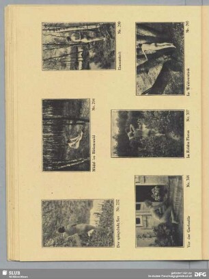 Mädel im Birkenwald