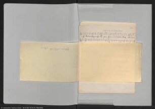 Texte und Melodien von Volkslieder, teilweise mit Noten