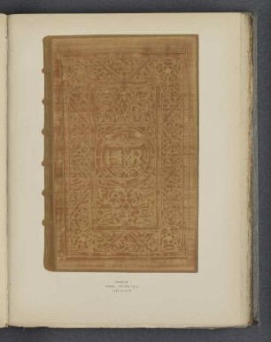 Plate XI.