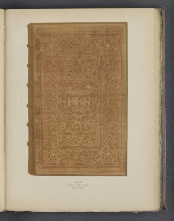 Plate XI.