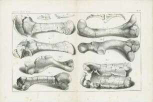 Tafel XI