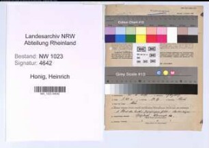 Entnazifizierung Heinrich Honig , geb. 31.08.1889 (Landwirt)
