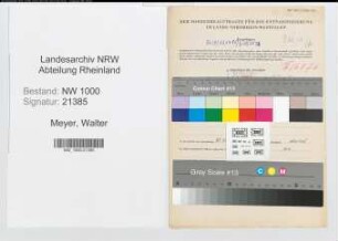 Entnazifizierung Walter Meyer, geb. 31.12.1900 (Techn.Assistent)