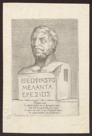 Theophrastus