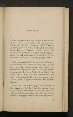 Der Polarfuchs