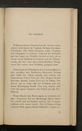 Der Polarfuchs