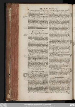 Sectio XVIII. De numero Angelorum.