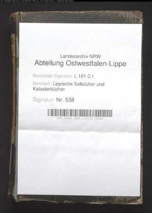 Konzept des Salbuchs des Amtes Blomberg von 1849