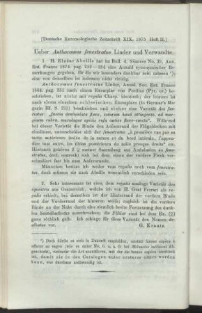 Ueber Anthocomus fenestratus Linder und Verwandte