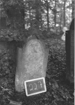Grabstein 227 (Index: 99894718) Material: Sandstein Zustand: gänzlich verwittert und abgeblättert Maße HxBxT: 71x38x6 cm Beschreibung: Stele mit eingezogenem Rundbogenabschluss: Grabstein 227