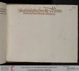 >Fur allerleÿ gebrechenn der Nirenn vnnd was dennselbigenn zuegehörig< (nur Überschrift)