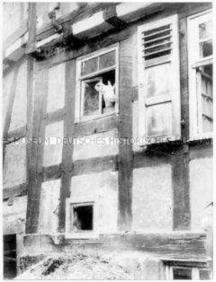 Kopf einer Ziege schaut aus dem Fenster eines Fachwerkhauses heraus