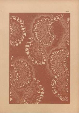 BEG [Motif de décor. - Coquilles sur le sable]