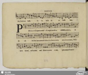 XXXVIII. Anonymus: Pelli meae