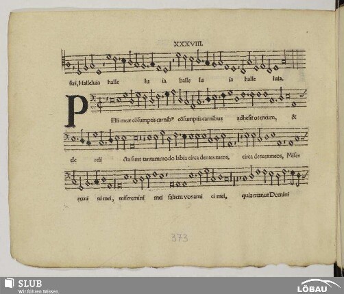 XXXVIII. Anonymus: Pelli meae