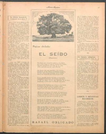 El seíbo : (Fragmento)