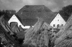Garding: Friesengutshof, Wirtschaftshof [im Vordergrund Garben]