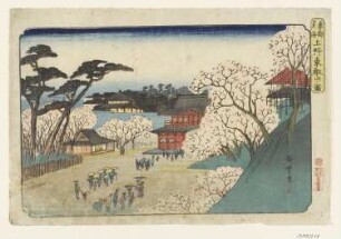 Ueno-Park in Edo zur Kirschblütenzeit