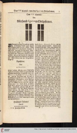 Das IIX. Capitel von allerhand figurierten Edelgesteinen