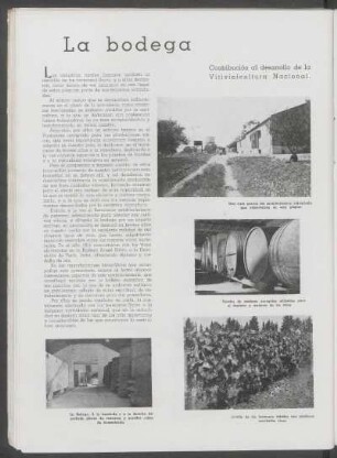 La bodega : Contribución al desarrollo de la Vitivinicultura Nacional.