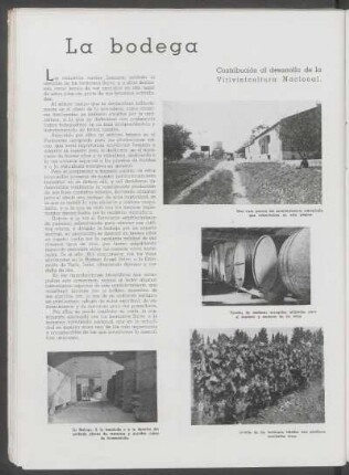 La bodega : Contribución al desarrollo de la Vitivinicultura Nacional.