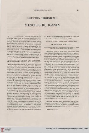 Section troisième: Muscles du bassin