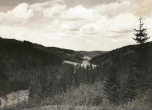 Osterzgebirge. Im Naturschutzgebiet Bienhof bei Oelsen