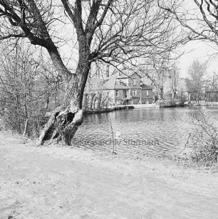 Mühlenteich: vorn Mühlenstraße: links Baum und Sträucher: hinten Mitte Mühle: hinten rechts Schuppen