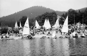 Boote am Ufer des Schluchsees vom See aus