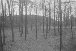 Coblenzer Schanze. Abschnittswall. : Kobličanske hrodźišćo