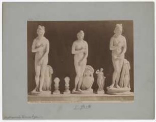 Napoli: Museo Nazionale, Veneri che hanno simiglianza con quella Medicea, No. 5429
