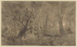 Waldinneres