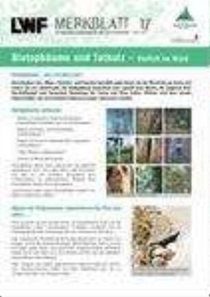 Biotopbäume und Totholz : Vielfalt im Wald