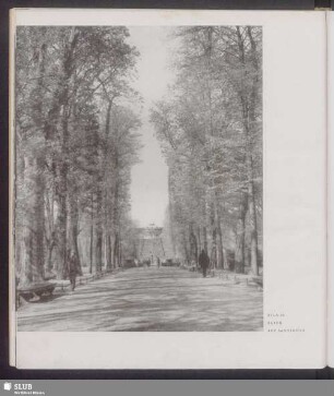 Blick auf Sanssouci